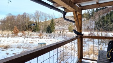 Prodej pozemků, Opatov na Moravě