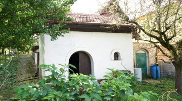 1560_1790330867.jpg