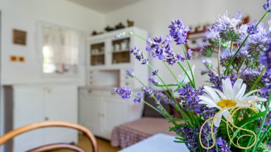 Prodej chalupy 3+1, Lesonice - Horní Lažany