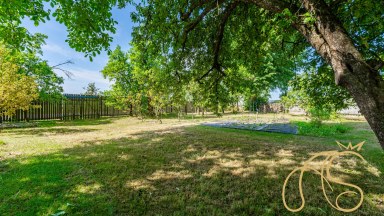 Prodej chalupy 3+1, Lesonice - Horní Lažany